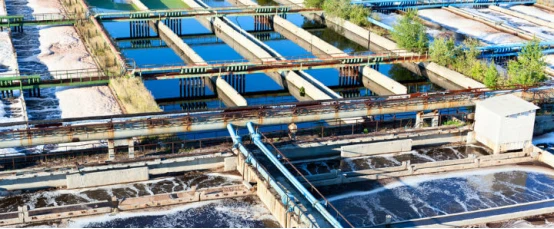 info-554-229 info-554-229